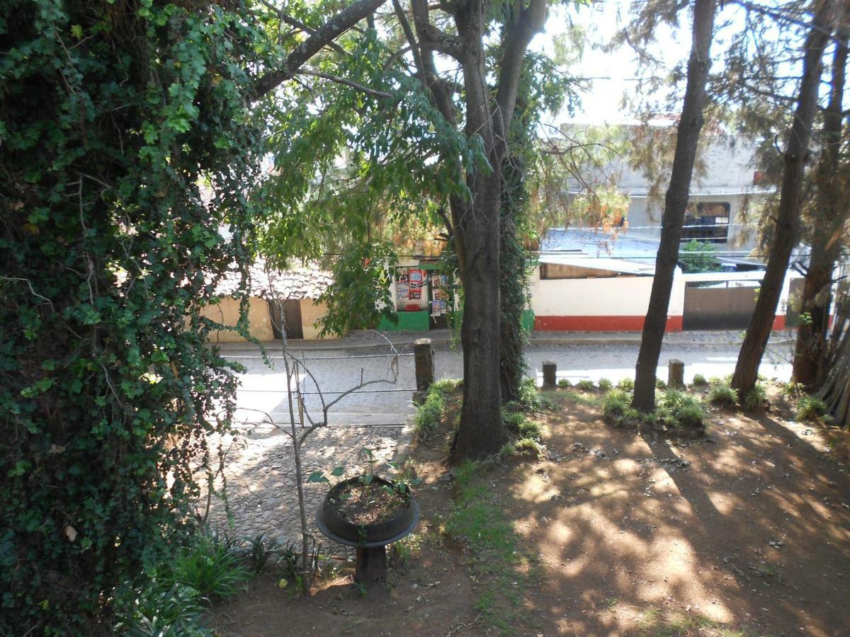 Cabanas Los Venados Mazamitla Exteriör bild
